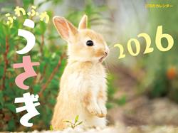 JTBのカレンダー ふわふわうさぎ 2026